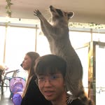 Desmond Lau - @des.it_ - Instagram