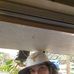Desmond Slattery Lowe - Facebook
