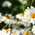 Desmond M . Albert - @meyer_desmond - Instagram