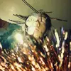 desmondthemighty - @desmondthemighty - TikTok