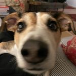 Desmond Noble - @stilljustvinegarchips - Instagram