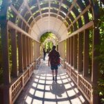 Desmond Phillips - @desmondphillips.27 - Instagram