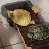 Desmond Teo - @desmond.teo11 - TikTok