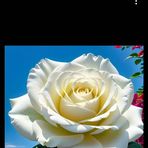 Desmond Wine - Facebook