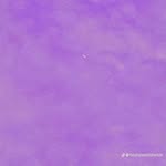 Desney Delphine Williams - @williams_desney - Instagram