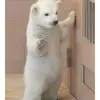 dessarae - @dessarae - TikTok