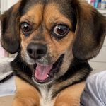 Dessa Williams - @truspice4life - Instagram