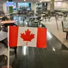 Desi Canadian - @desi.canadian7 - TikTok
