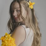 Dessie Carter - Facebook