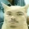 Dessie Cook - @dessiecook9427 - TikTok