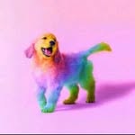 Destiny Best - @destiny__best - Instagram