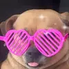 Destinybond - @why.you.are.awake - TikTok
