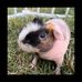 Destiny Burrow - Facebook