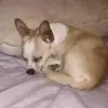 Destiny Burrows - @destiny.burrows5 - TikTok