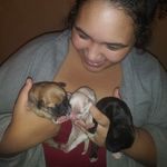 Destiny Cain - @destinyspuppies - Instagram
