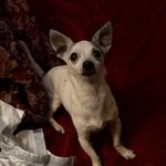 Destiny Calhoun - @dezy_boo98 - Instagram