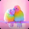 Destiny Cater - @destiny.cater3 - TikTok