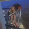 Destiny Ceazer - @destinyceazer - TikTok