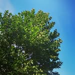 about:life - @chance_destiny - Instagram
