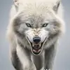 Chance's Destiny - @chances.destiny - TikTok