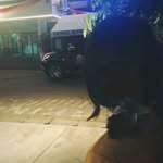 Destiny Chance - @definitelynotdesss_ - Instagram