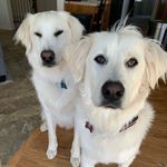Destiny & Clay - @destiny.n.clay - Instagram