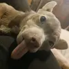 Destiny Connell - @destinyconnell - TikTok