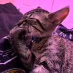 Destiny Cordero - @mush.gurl06 - Instagram