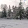 Destiny Cramer - @destiny.cramer - TikTok