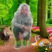 Cusper Destiny - Facebook