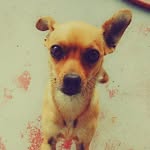 chicita - @destinydaysy - Instagram