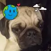 Destiny Dennis - @destiny.dennis - TikTok
