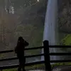 Destiny.PNW - @destiny.pnw - TikTok