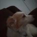 Destiny Garrison - Facebook