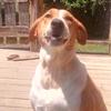 Destiny Garrison - @destinygarrison.319 - TikTok