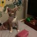 Destiny Gilbert - Facebook
