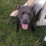 Destiny Gilbert - @destiny3745 - Instagram
