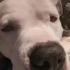 Destiny_Martinez - @destiny_martinez1213 - TikTok