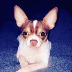 Destiny Melton - @destiny0508062019 - Instagram