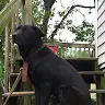 Destiny Quick - @destinyquick5 - TikTok