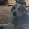 DestinyRichards19 - @bently288 - TikTok