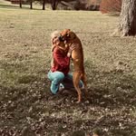 Destiny Walls - @destiny_walls4 - Instagram