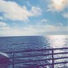 Destiny Warner  - @destinywarner2 - TikTok