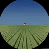 Stay_gone_destinyy - @destinywestby0 - TikTok