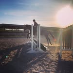 Destiny Wilson - @dwilson.equestrian - Instagram