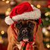 Destiny Wright - Facebook