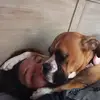 Devan Allen - @devan.allen6 - TikTok