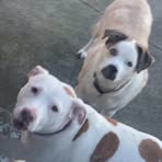 Deven Ellis - Facebook