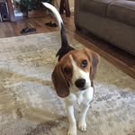 Devan Garcia - @devan3384 - Instagram
