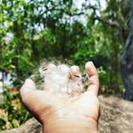 @_devan_king_ - Instagram